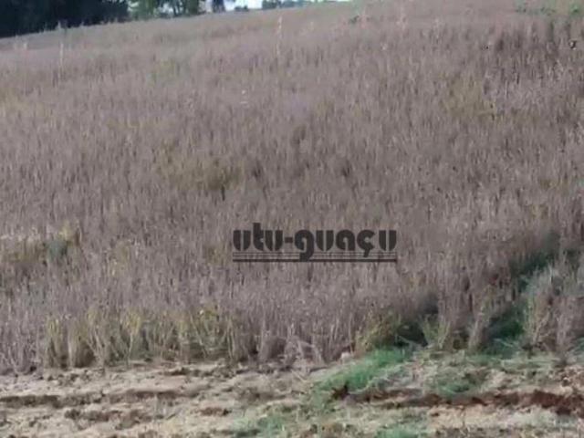 Sítio e chácara venda em Itapetininga