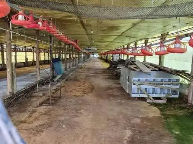 Sítio e chácara venda em Região Imediata de Itapetininga, Região Metropolitana de Sorocaba