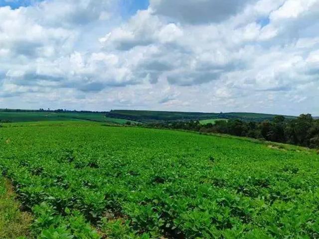 Sítio e chácara venda em Região Imediata de Itapetininga, Região Metropolitana de Sorocaba