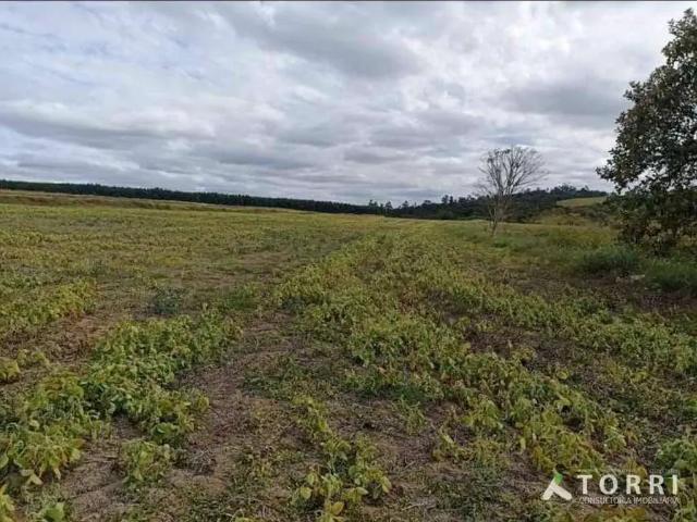 Sítio e chácara venda em Região Imediata de Itapetininga, Região Metropolitana de Sorocaba