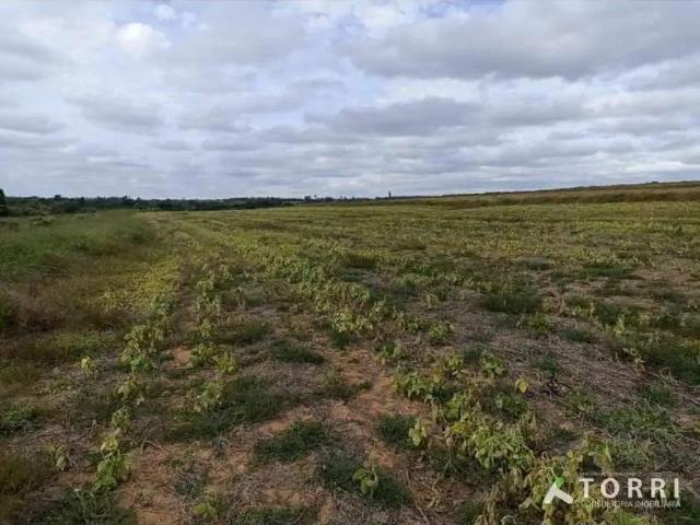 Sítio e chácara venda em Região Imediata de Itapetininga, Região Metropolitana de Sorocaba