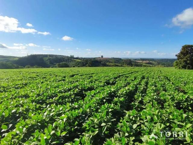 Sítio e chácara venda em Região Imediata de Itapetininga, Região Metropolitana de Sorocaba