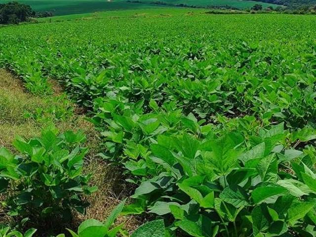 Sítio e chácara venda em Região Imediata de Itapetininga, Região Metropolitana de Sorocaba