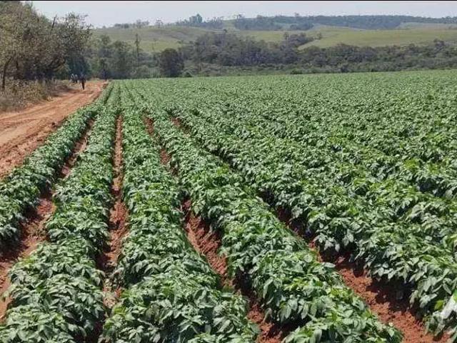 Sítio e chácara venda em Região Imediata de Itapetininga, Região Metropolitana de Sorocaba