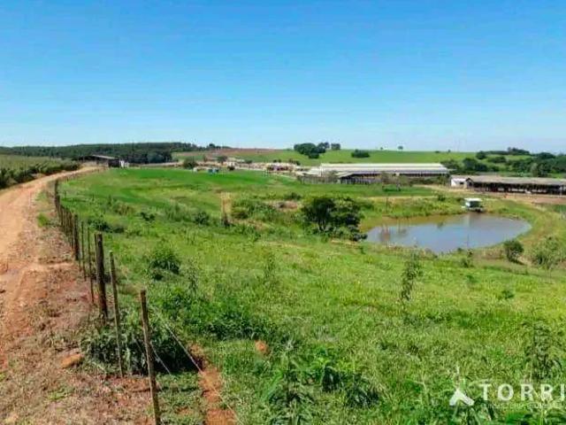 Sítio e chácara venda em Vila Santo Antônio, Sorocaba