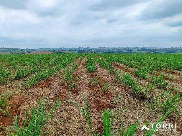 Sítio e chácara venda em Região Imediata de Itapetininga, Região Metropolitana de Sorocaba