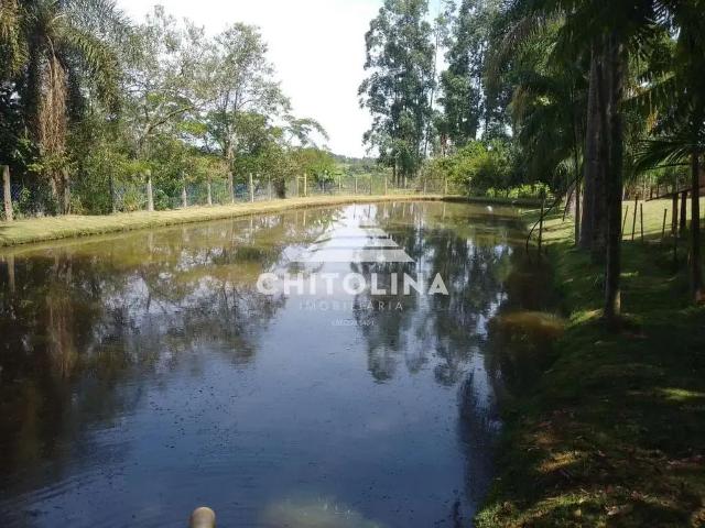 Sítio e chácara venda em Vila Popular, Itapetininga