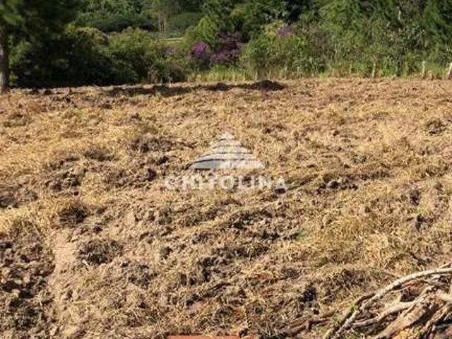 Sítio e chácara venda em Itapetininga, Região Geográfica Intermediária de Sorocaba