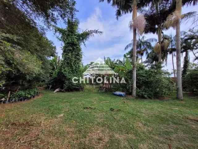 Sítio e chácara venda em Vila Popular, Itapetininga