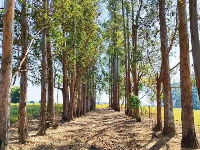 Sítio e chácara venda em Itapetininga