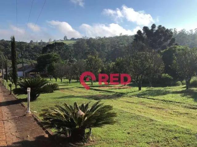 Sítio e chácara venda em Região Imediata de Itapeva, Itapeva