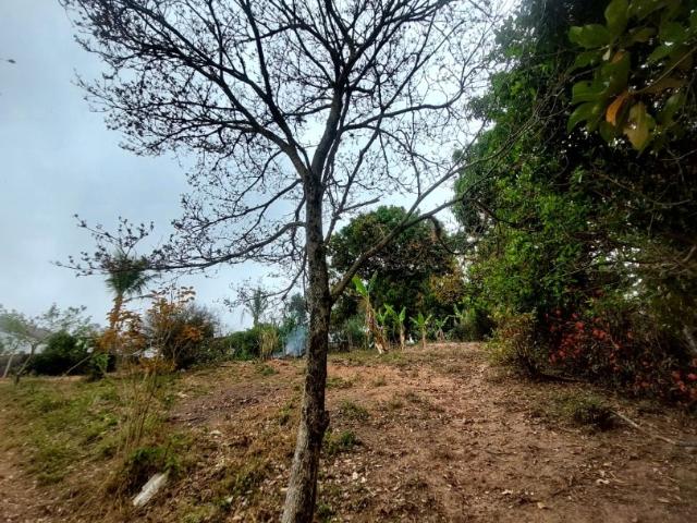 Sítio e chácara venda em Região Imediata de São Paulo, Região Metropolitana de São Paulo