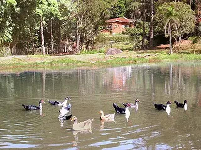 Sítio e chácara venda em Itapevi