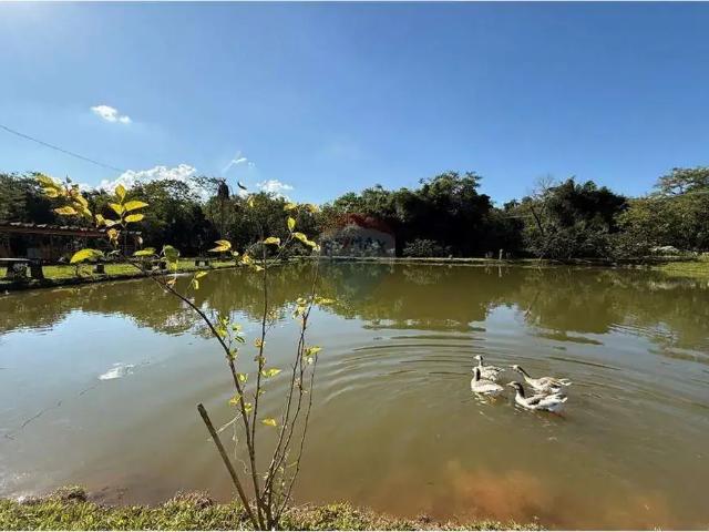 Sítio e chácara venda em Região Imediata de Mogi Guaçu, Itapira