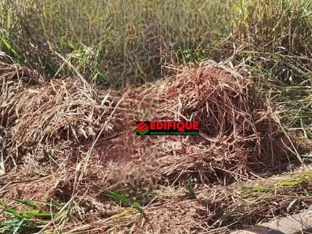 Sítio e chácara venda em Região Imediata de Mogi Guaçu, Itapira