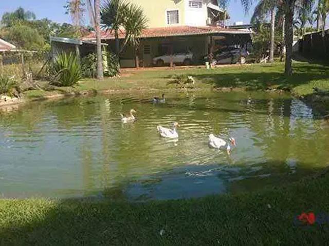 Sítio e chácara venda em Região Imediata de Mogi Guaçu, Itapira