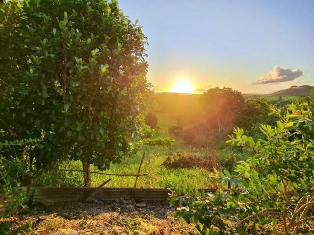 Sítio e chácara venda em Região Geográfica Imediata de Aracaju, Itaporanga D'ajuda