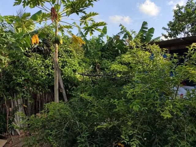 Sítio e chácara venda em Região Geográfica Imediata de Aracaju, Itaporanga D'ajuda