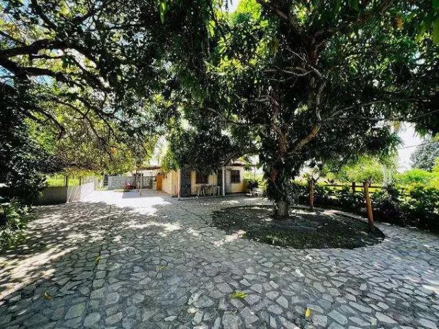 Sítio e chácara venda em Região Geográfica Imediata de Aracaju, Itaporanga D'ajuda