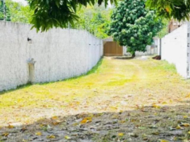 Sítio e chácara venda em Itaporanga d'Ajuda
