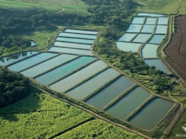 Sítio e chácara venda em Região Geográfica Imediata de Anápolis, Anápolis