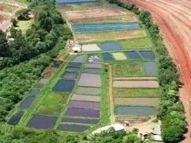 Sítio e chácara venda em Região Geográfica Imediata de Anápolis, Anápolis