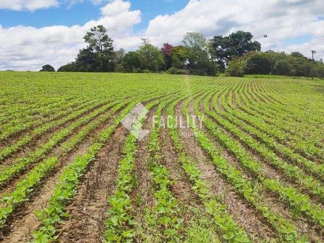 Sítio e chácara venda em Região Imediata de Itapeva, Itararé