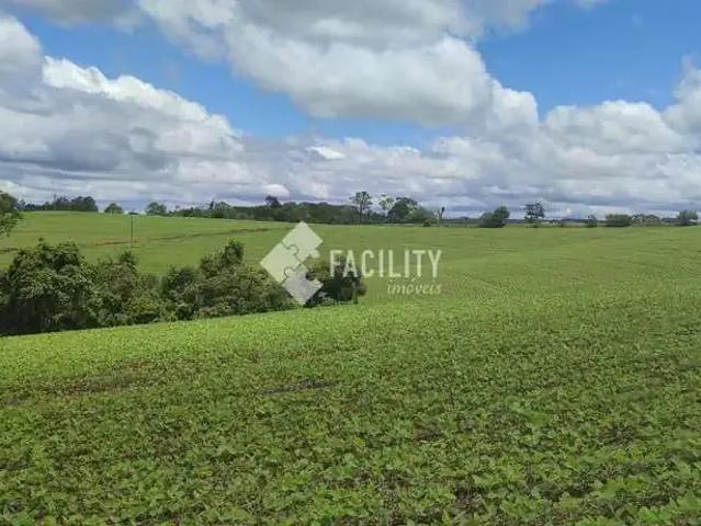 Sítio e chácara venda em Região Imediata de Itapeva, Itararé
