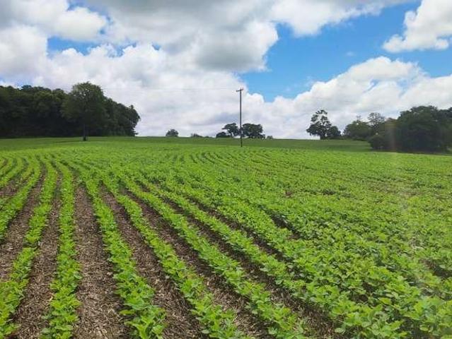 Sítio e chácara venda em Região Imediata de Campinas, Região Metropolitana de Campinas