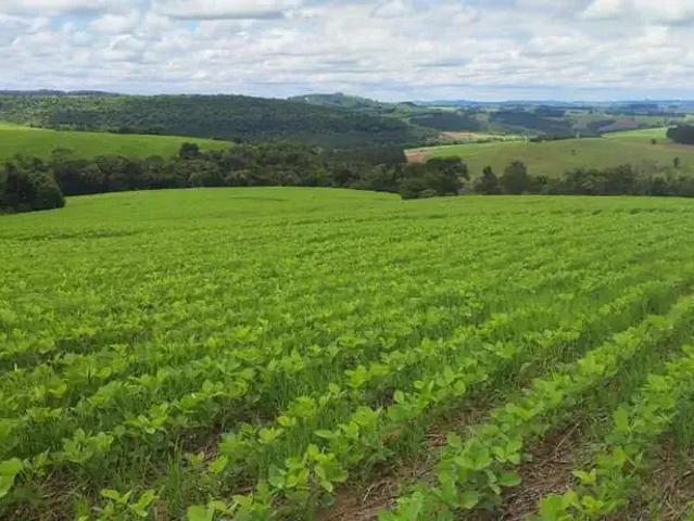 Sítio e chácara venda em Região Imediata de Itapeva, Itararé