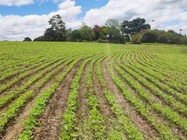 Sítio e chácara venda em Região Imediata de Itapeva, Itararé