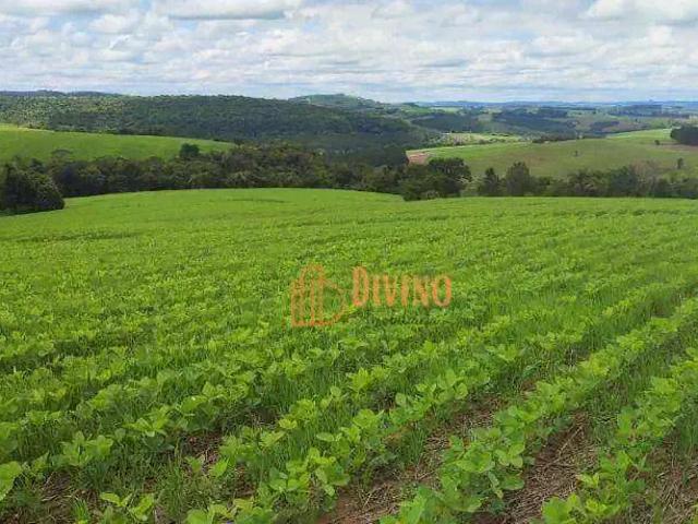 Sítio e chácara venda em Região Imediata de Itapeva, Itararé