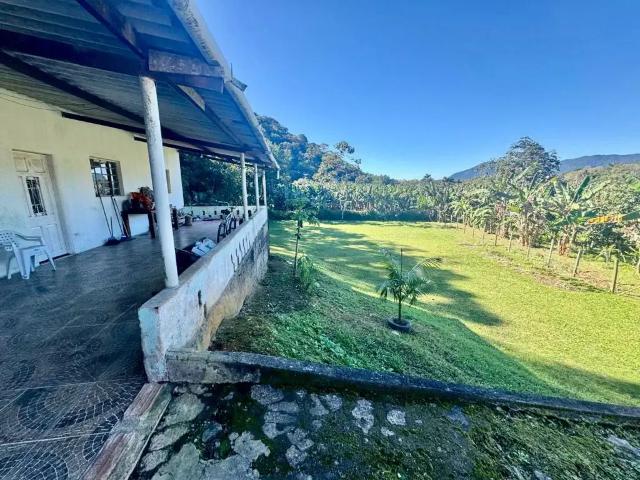 Sítio e chácara venda em Região Geográfica Imediata de Esperantina, Região Nordeste