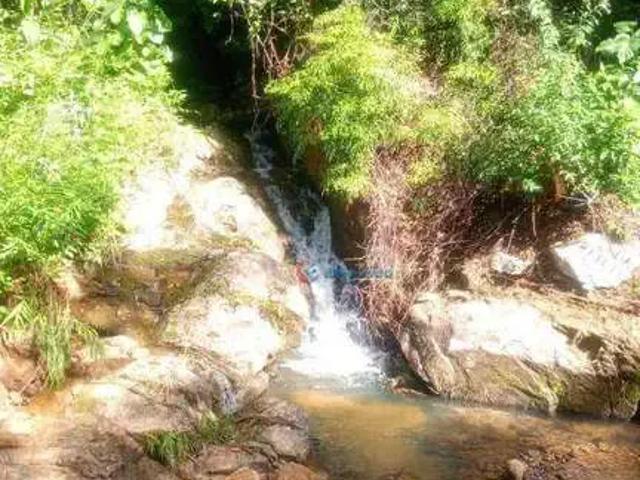 Sítio e chácara venda em Ana Dias, Itariri