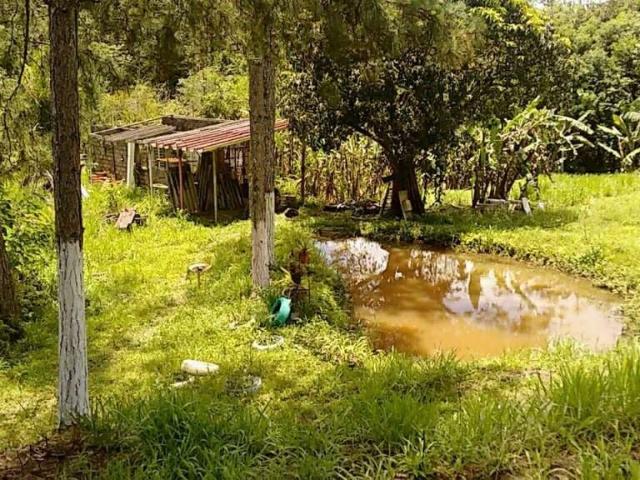 Sítio e chácara venda em Ana Dias, Itariri