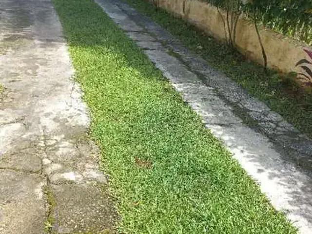 Sítio e chácara venda em Região Imediata de Santos, Itariri