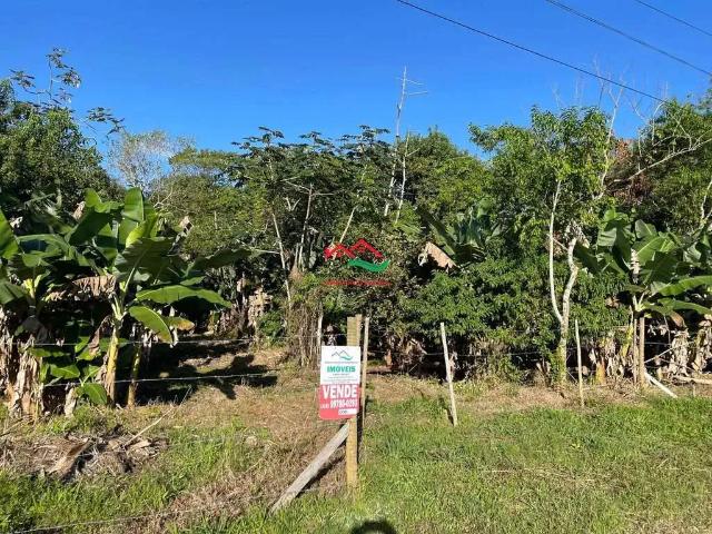 Sítio e chácara venda em Pedro de Toledo, Itariri