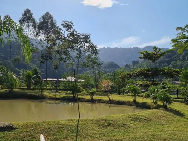 Sítio e chácara venda em Região Imediata de Santos, Itariri