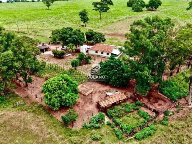 Sítio e chácara venda em Região Geográfica Imediata de Rio Verde, Itarumã