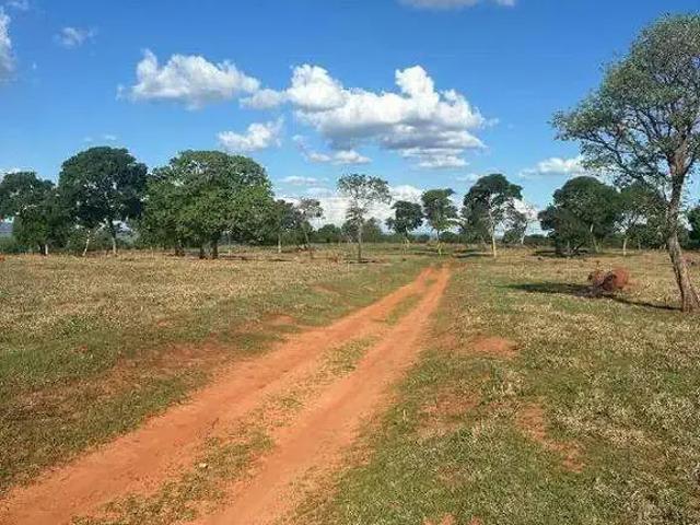 Sítio e chácara venda em Região Geográfica Imediata de Rio Verde, Itarumã