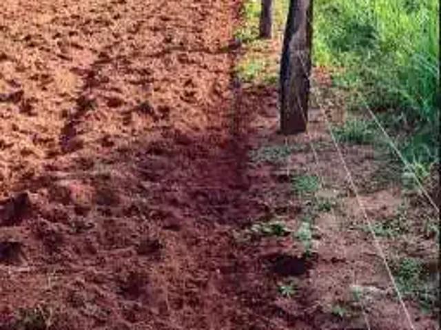 Sítio e chácara venda em Região Geográfica Imediata de Rio Verde, Itarumã
