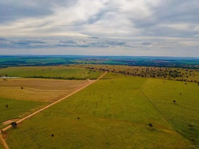 Sítio e chácara venda em Região Geográfica Imediata de Rio Verde, Itarumã