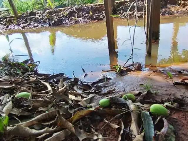 Sítio e chácara venda em Região Geográfica Imediata de Divinópolis, Região Metropolitana de Belo Horizonte