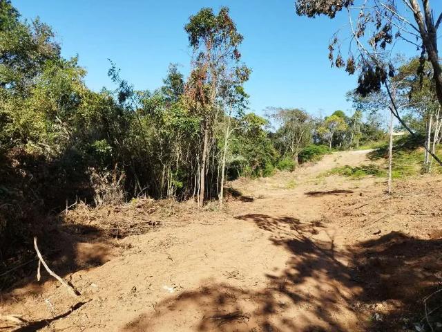 Sítio e chácara venda em Região Geográfica Imediata de Divinópolis, Região Metropolitana de Belo Horizonte