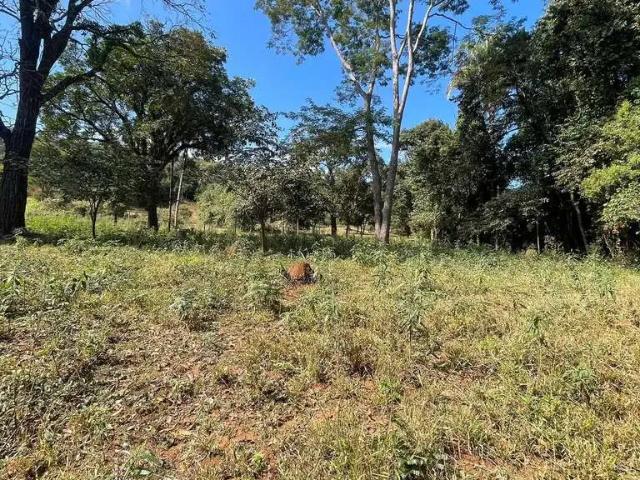 Sítio e chácara venda em Região Geográfica Imediata de Divinópolis, Região Metropolitana de Belo Horizonte