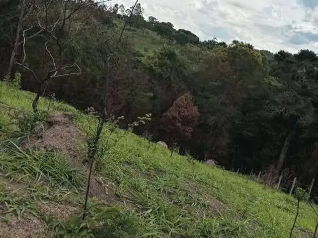 Sítio e chácara venda em Região Geográfica Imediata de Divinópolis, Região Metropolitana de Belo Horizonte