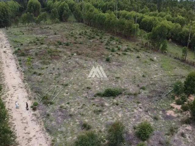 Sítio e chácara venda em Robert Kennedy, Itatiaiuçu