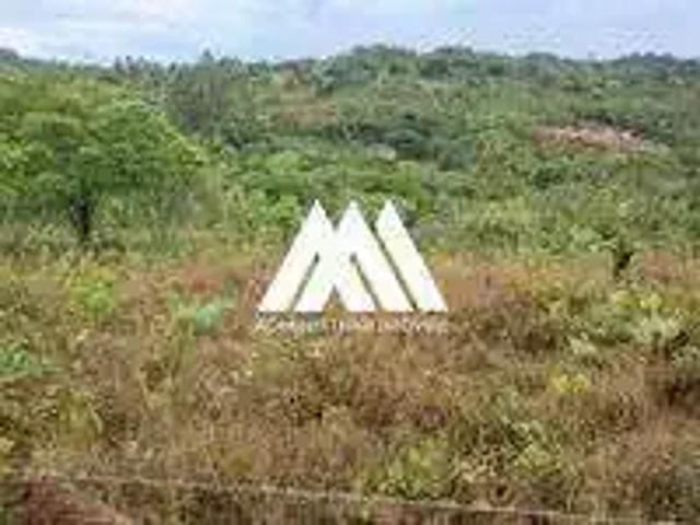 Sítio e chácara venda em Região Geográfica Imediata de Divinópolis, Região Metropolitana de Belo Horizonte