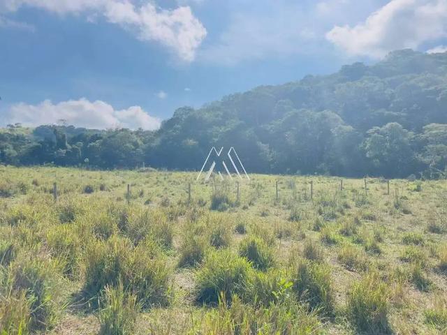 Sítio e chácara venda em Região Geográfica Imediata de Divinópolis, Região Metropolitana de Belo Horizonte