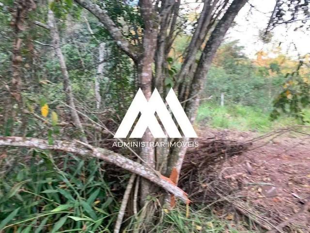 Sítio e chácara venda em Região Geográfica Imediata de Divinópolis, Região Metropolitana de Belo Horizonte